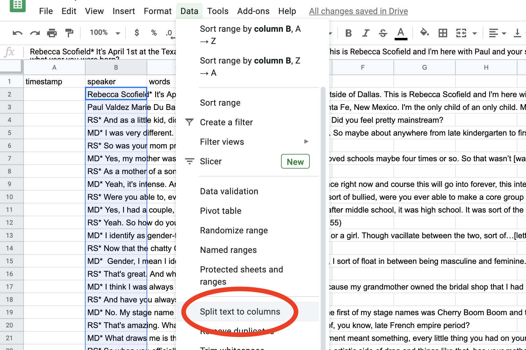 a screenshot of pasting text in google sheets